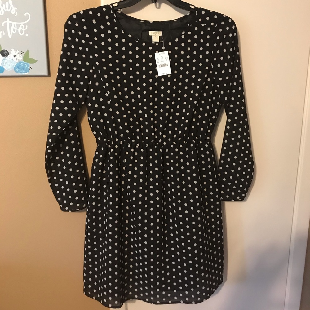 J. Crew Polka Dot dress